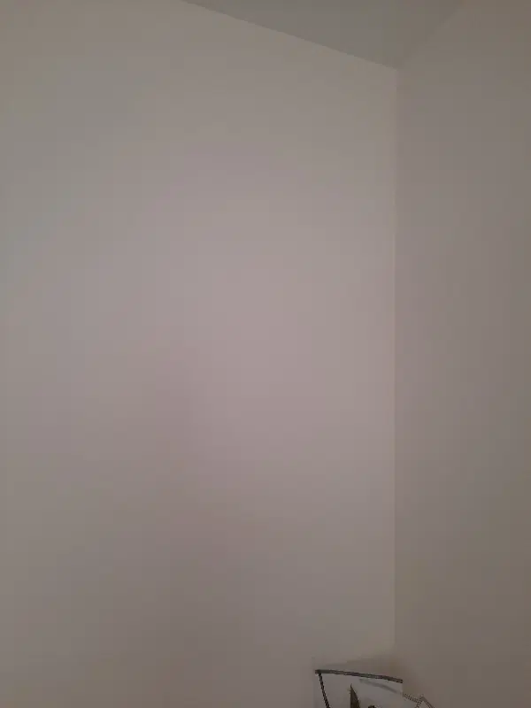 اجاره مغازه تجاری