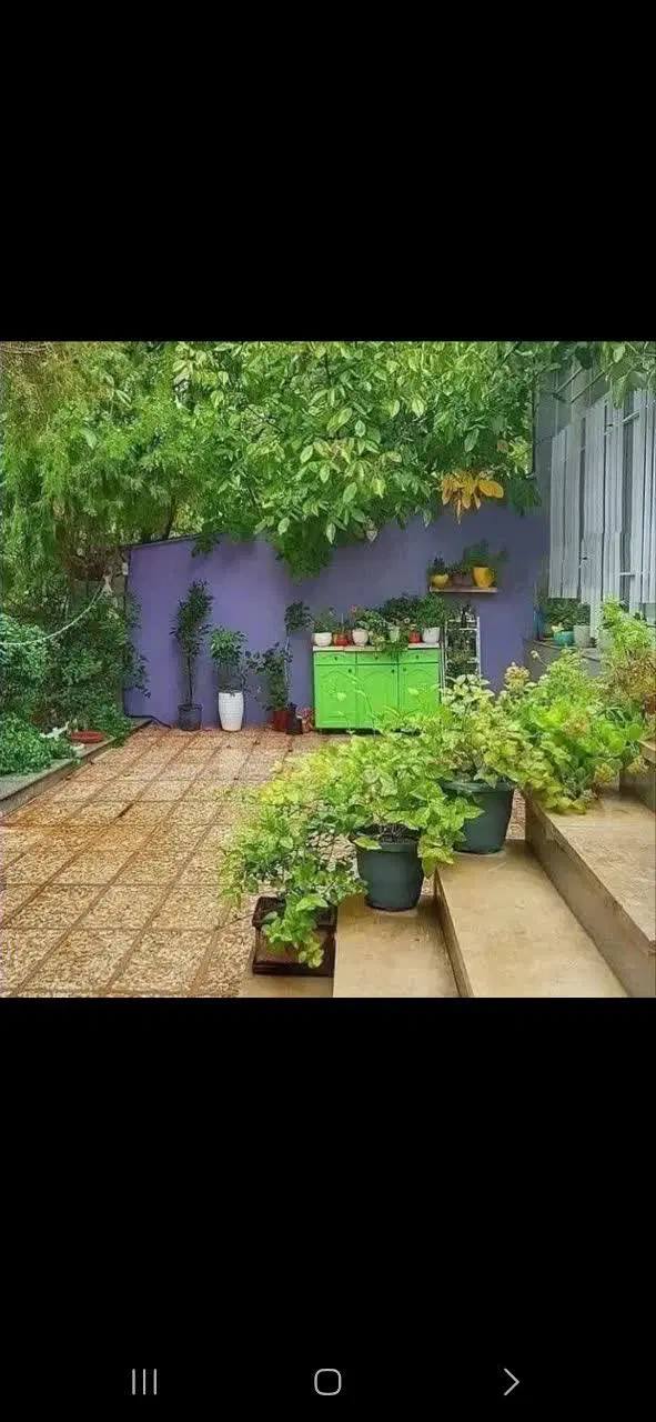 آپارتمان