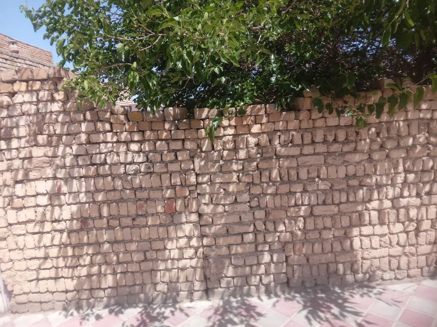زمین مسکونی و تجاری در خیابان اصلی افجد