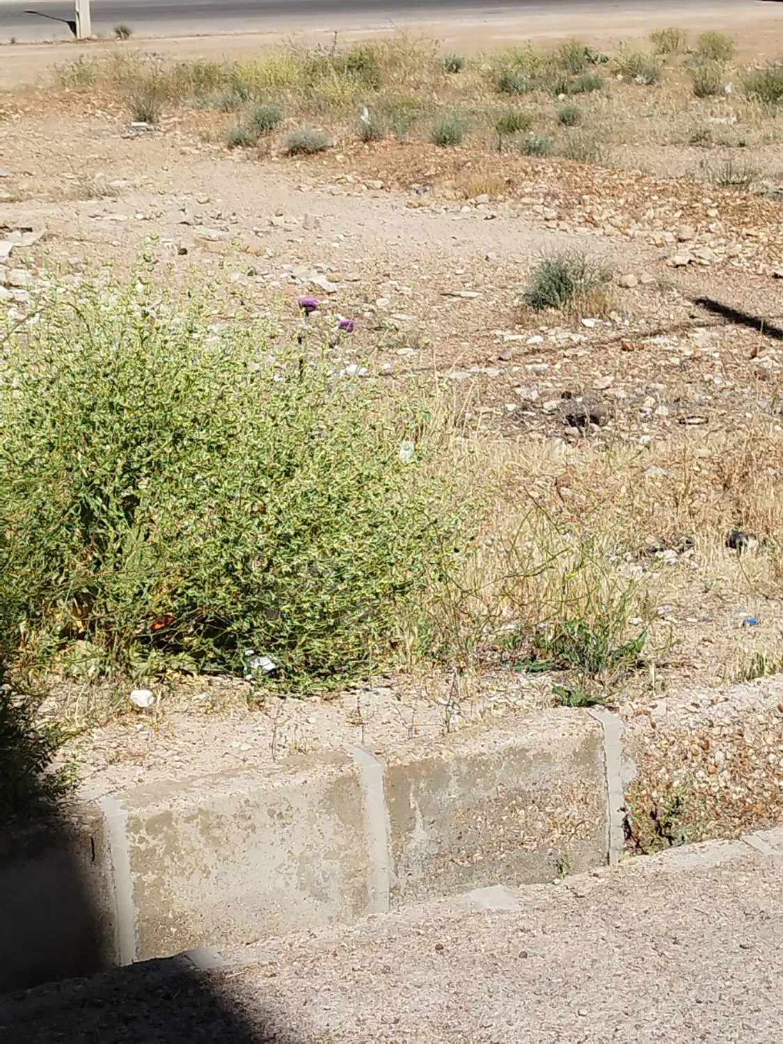 فروش امتیاز زمین در شهرک گلستان