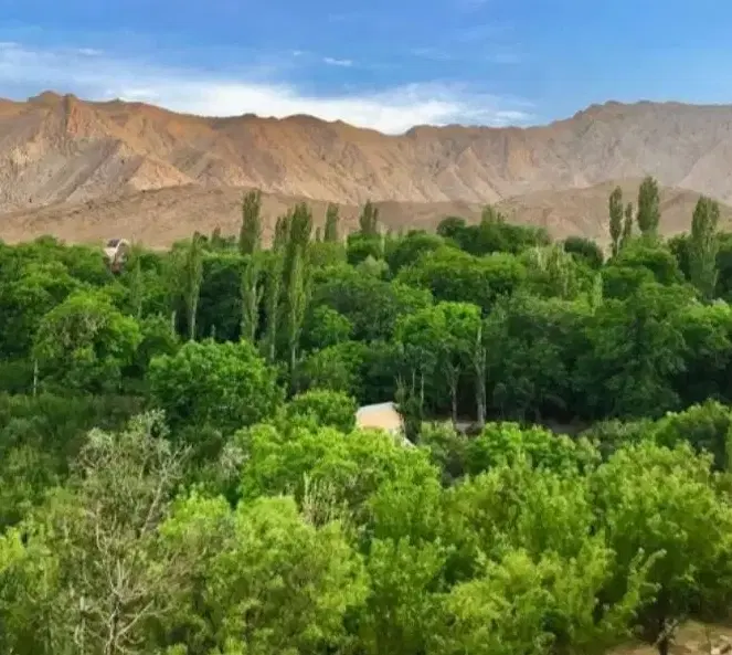 آپارتمان نوساز