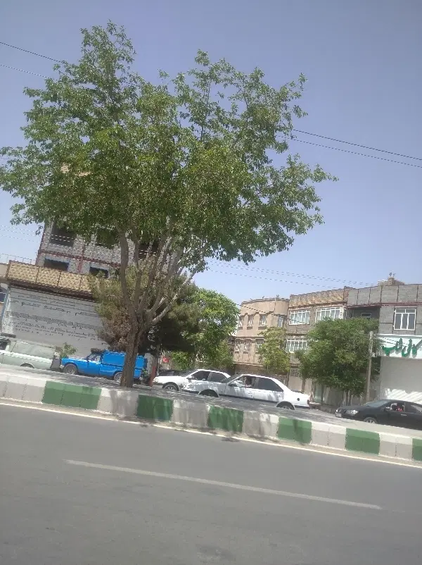 زمین