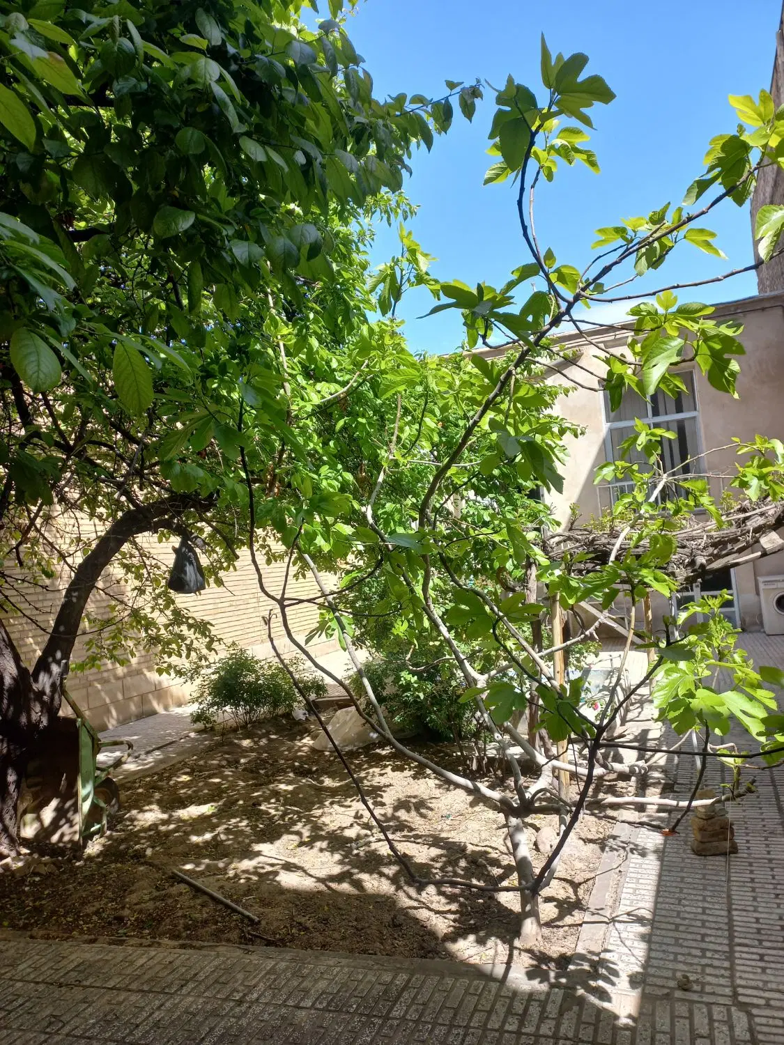 حیاط کلنگی متراژ ۱۸۰ خوش قیمت و دنج