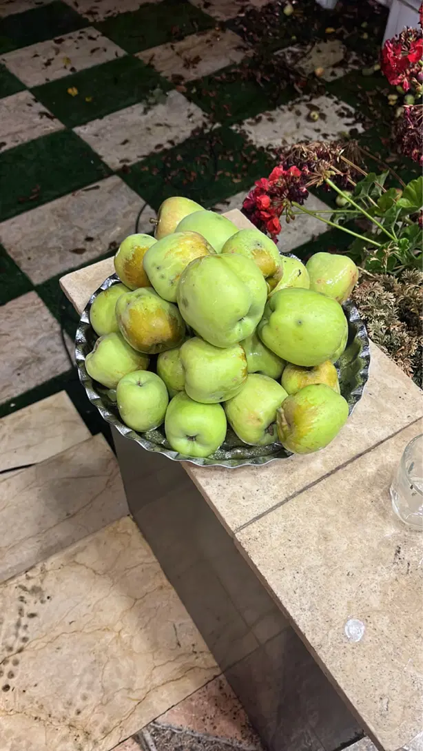فروش ویلا ( اکازیون )