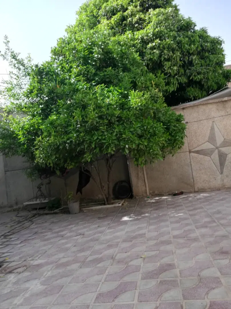 فروش منزل حیاط دار در فلکه ی ولی عصر