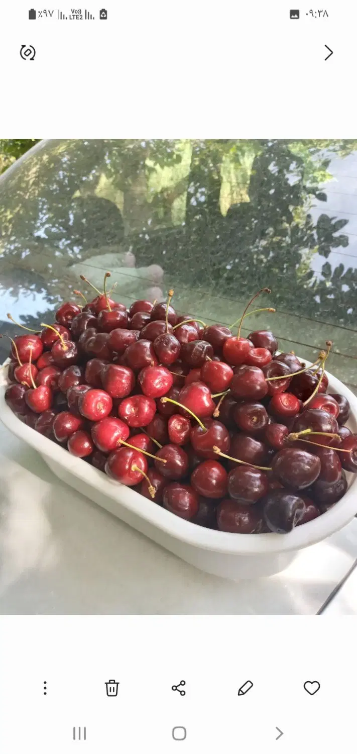 باغ 1000متری ننله