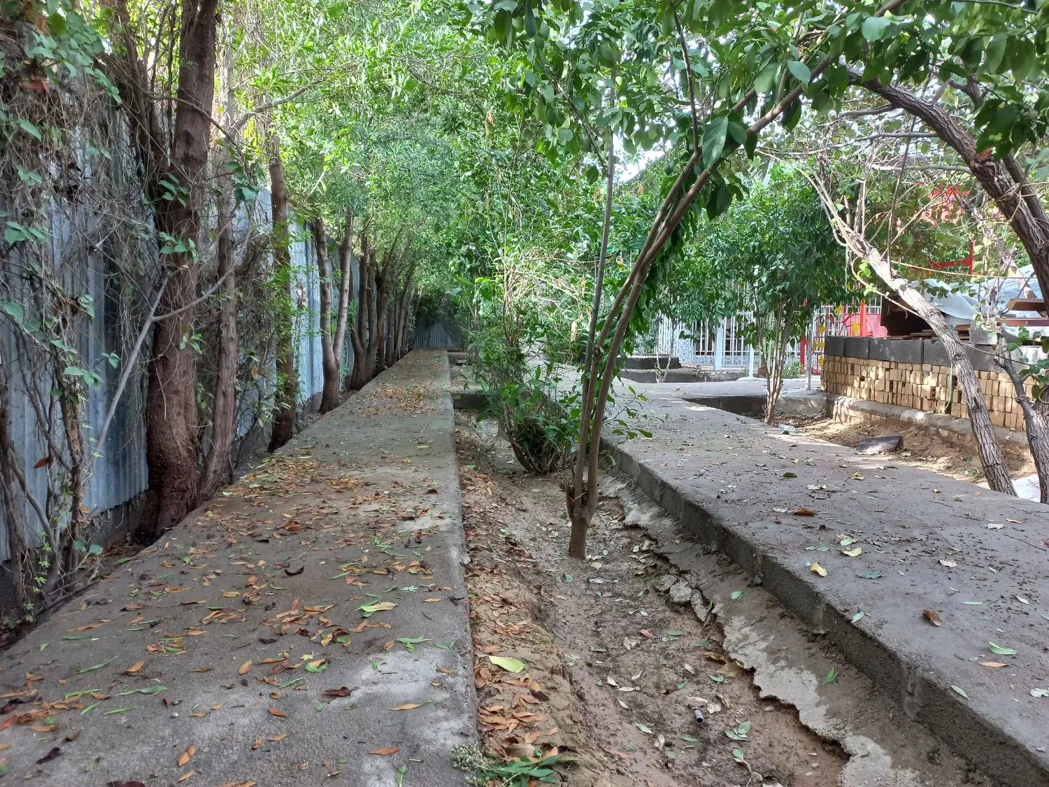 دو قطعه باغ ۷۳۰متری