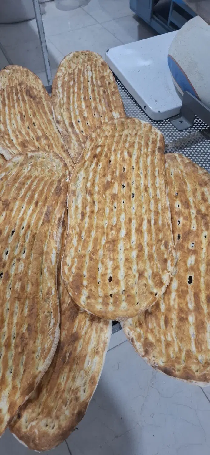 اجاره نانوایی بربری ازاد پز