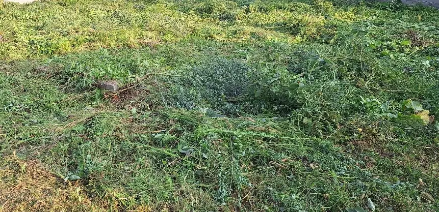 فروش زمین مسکونی ۳۶۰متر