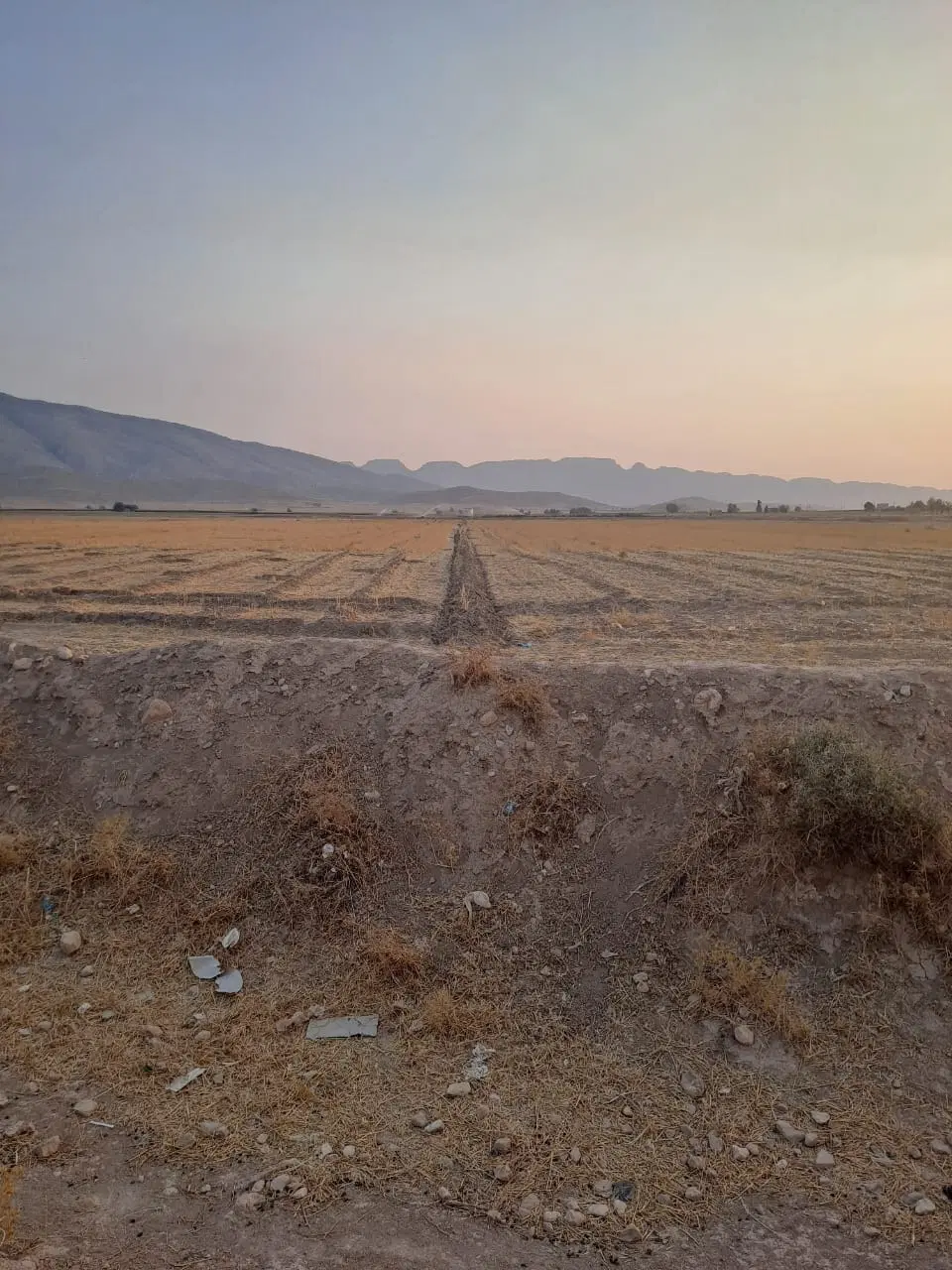 زمین زراعی