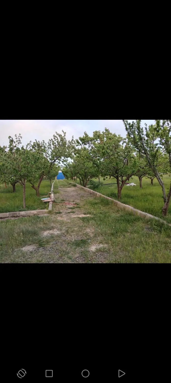 زمین باغی تجاری