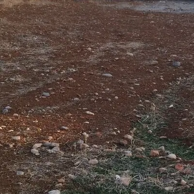 زمین معاوضه بر خیابان ۶۴ متر مساحت ۲۱۰۰سند تکبرگ