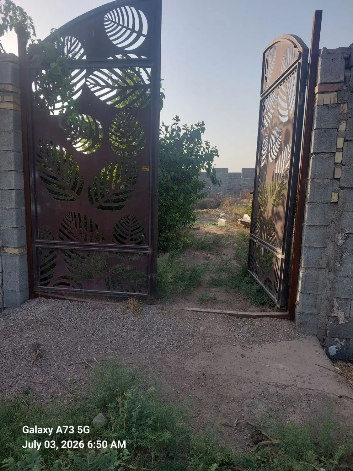 ویلا باغ ۵۰۰ متری