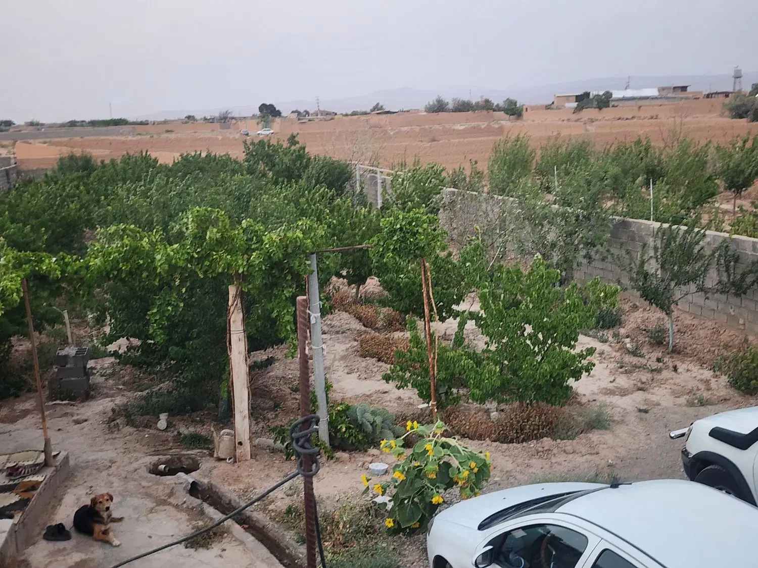باغ و خونه باغ. مرتب و کامل