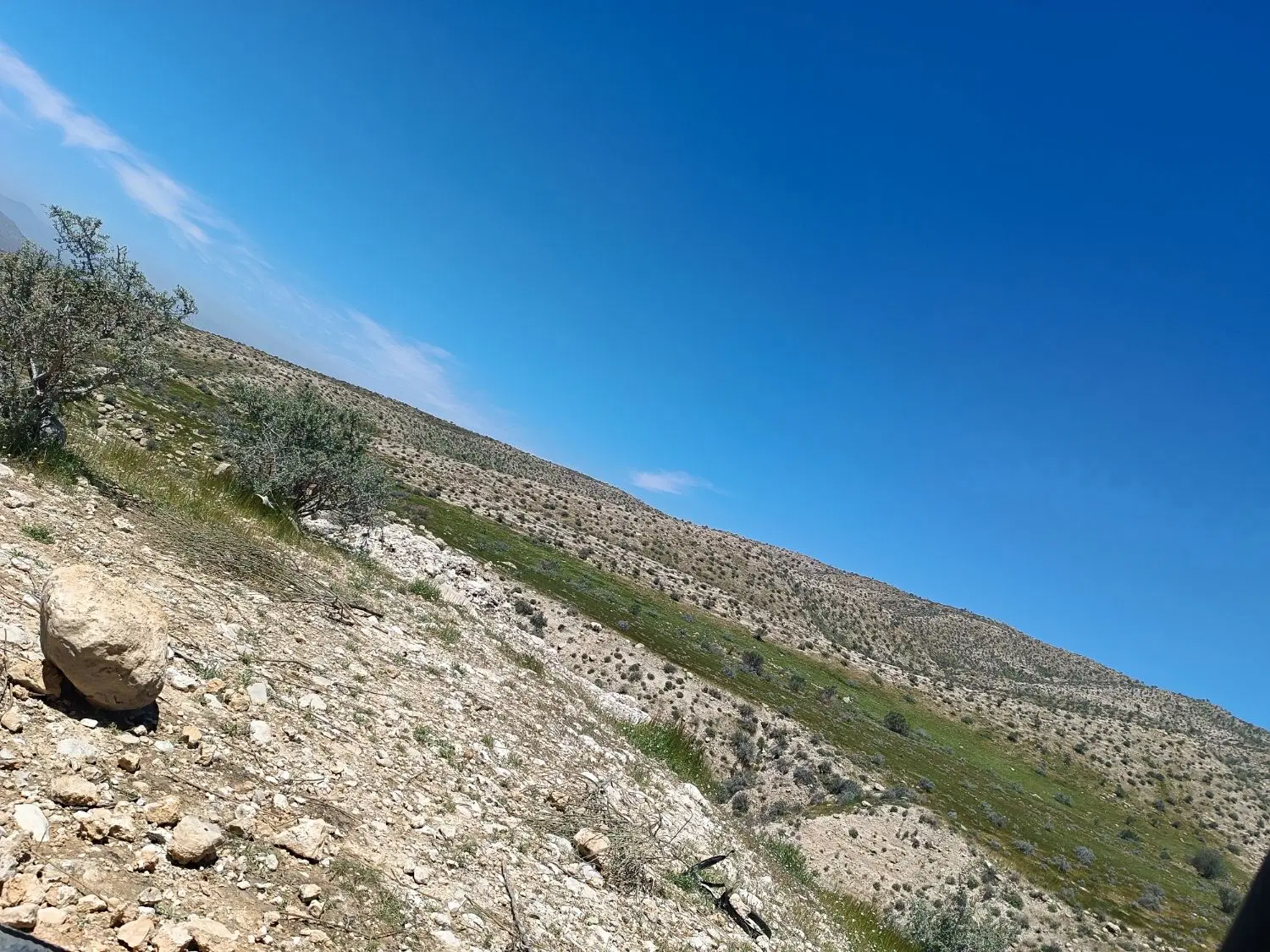 زمین تجاری مسکونی کوار دو نبش