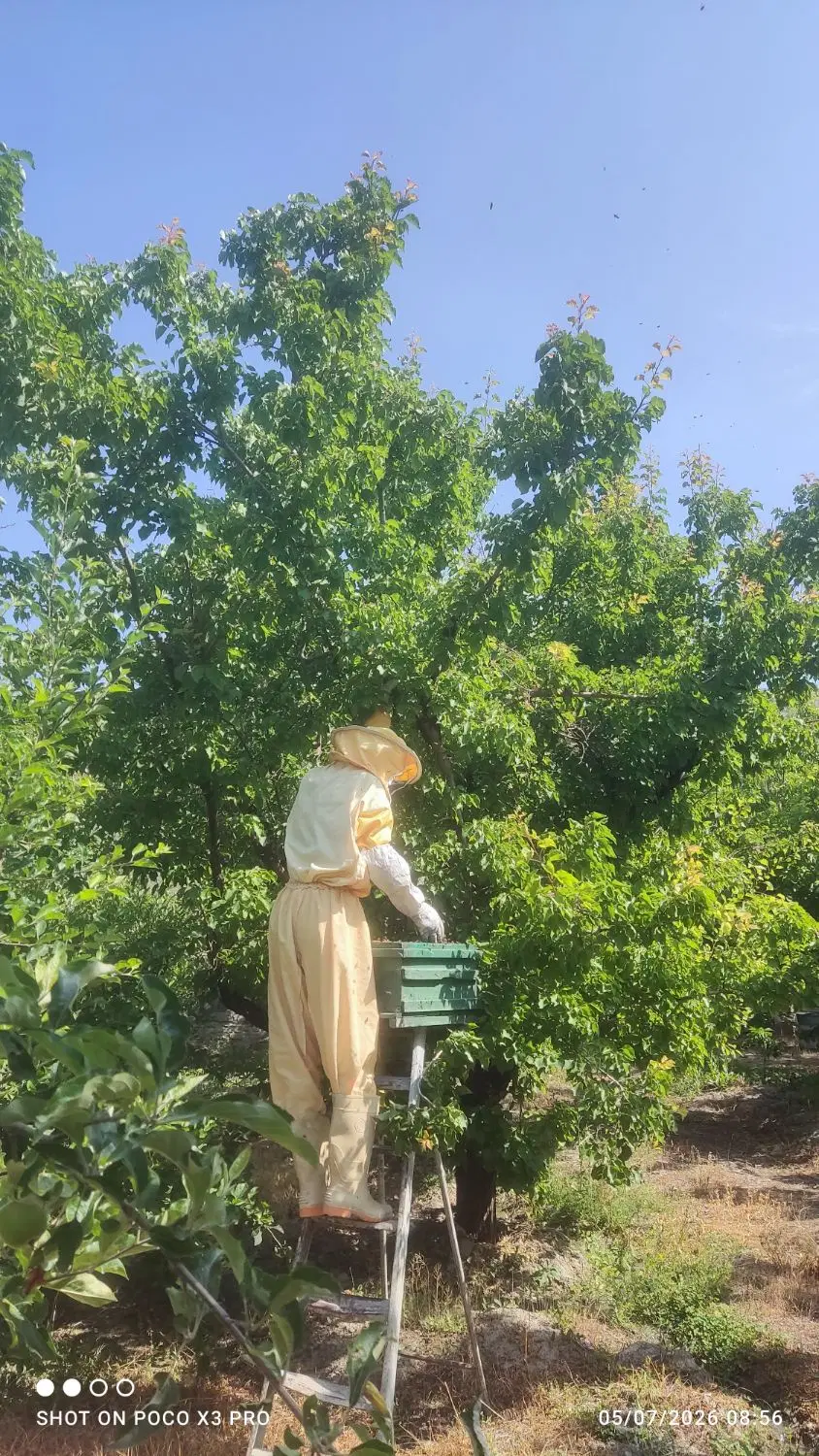 دو هزار متر زمین داخل بافت روستای تاش
