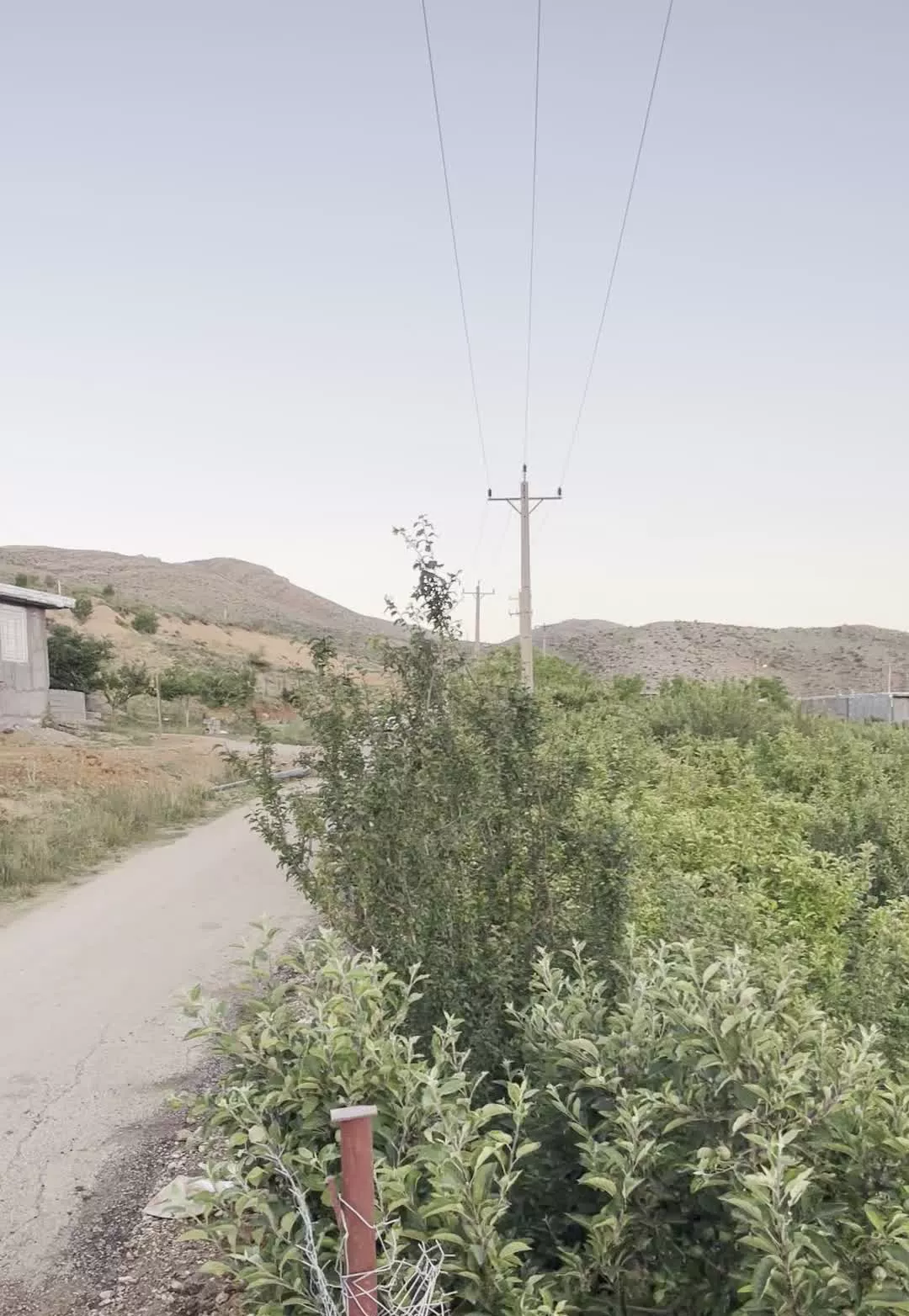 باغ کاکان