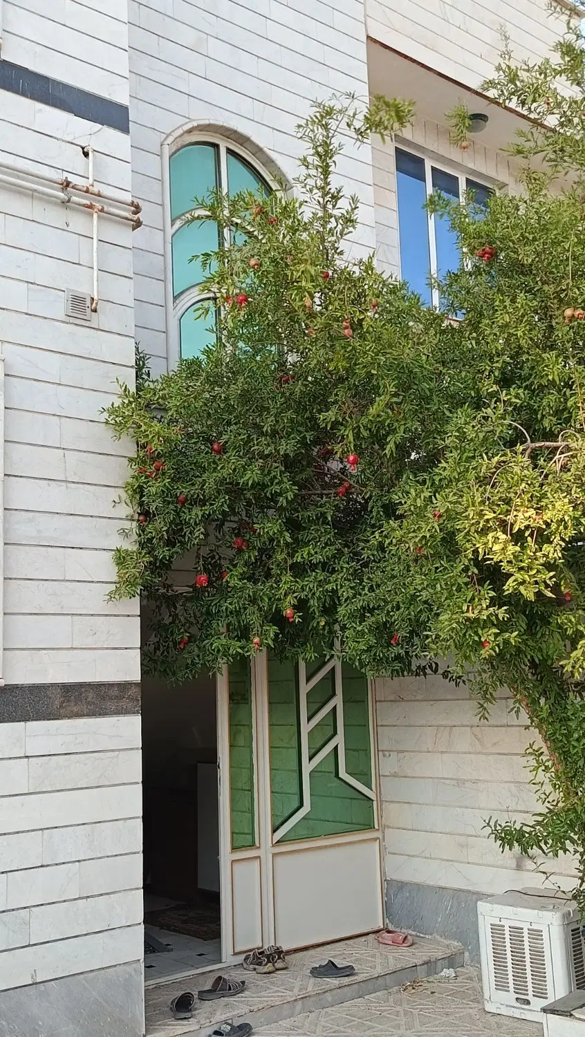 زمین