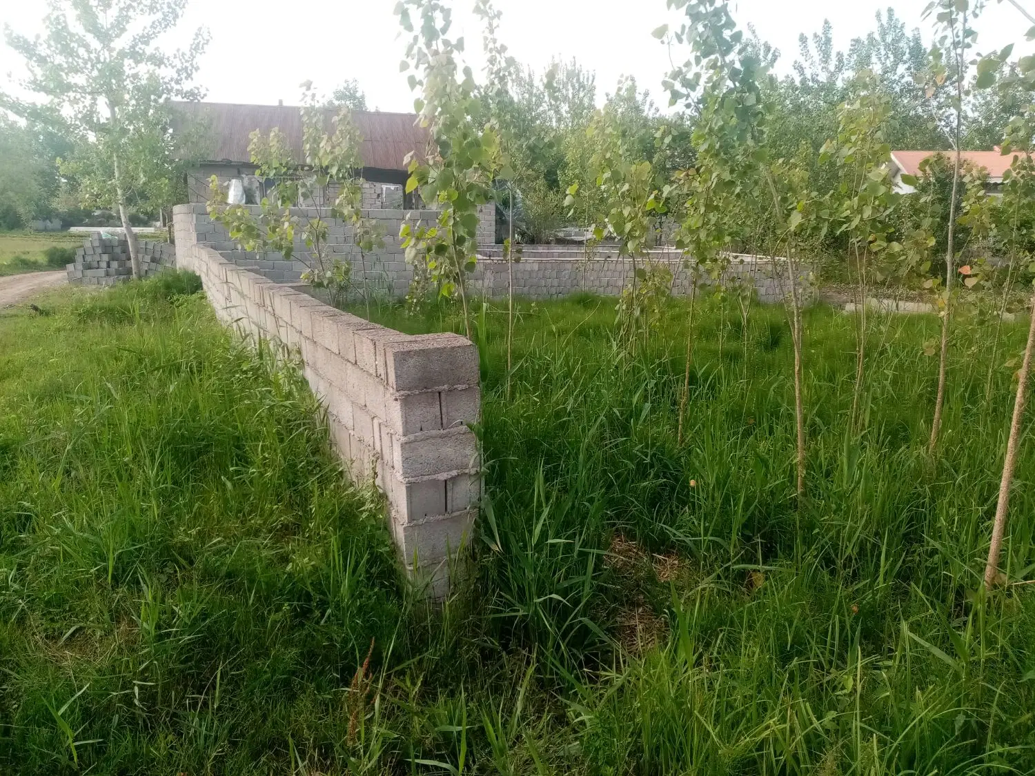 زمین مسکونی