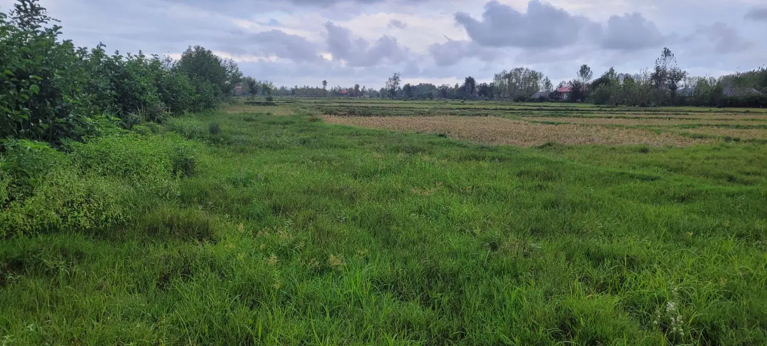 سنگر نشرودکل ۱۱۵۰ متر دارای جواز ساخت