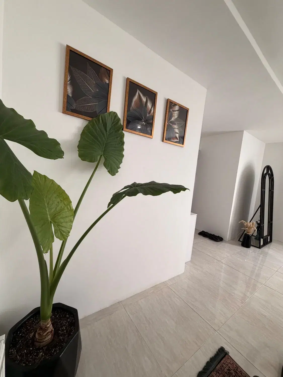 آپارتمان در شهرک زیبای پارسا
