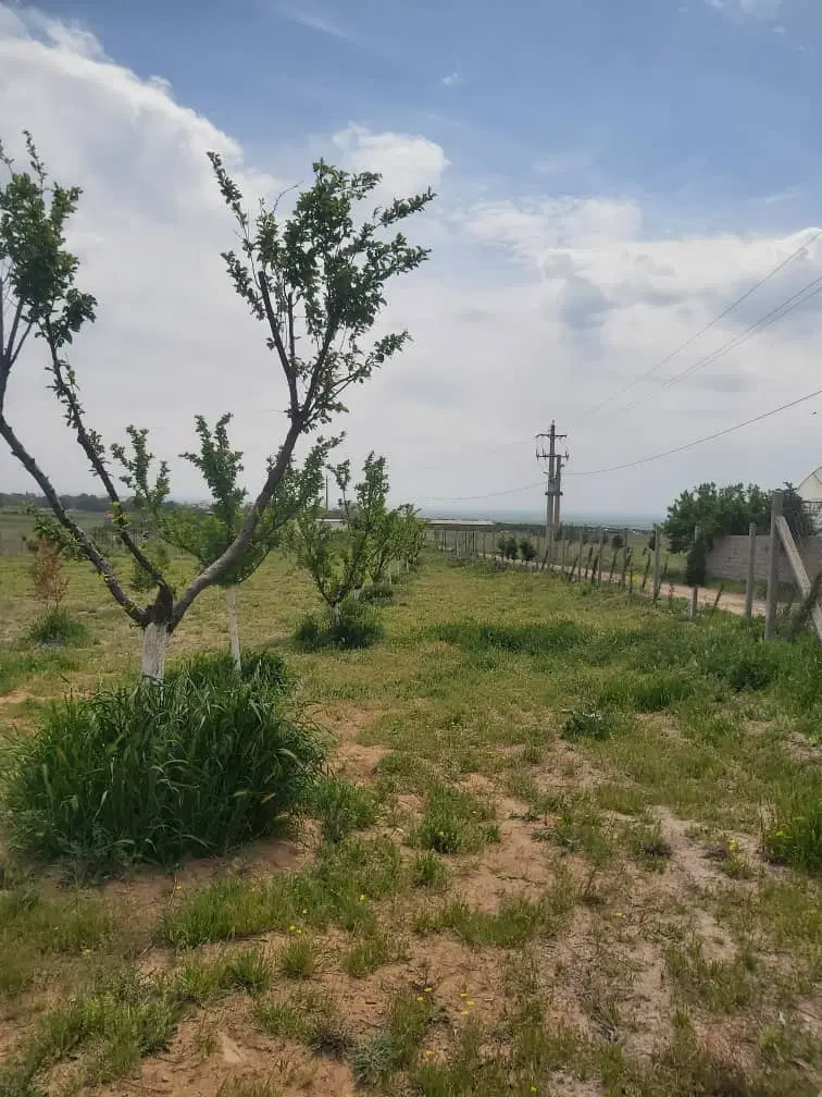 ۱۲۵۰متر باغ واقع در بوستان پاسارگاد امامزاده اباذر