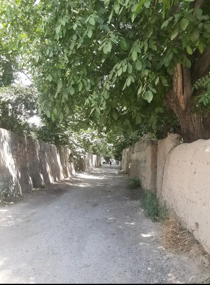 زمین ۱۰۰۰متری در باجگاه