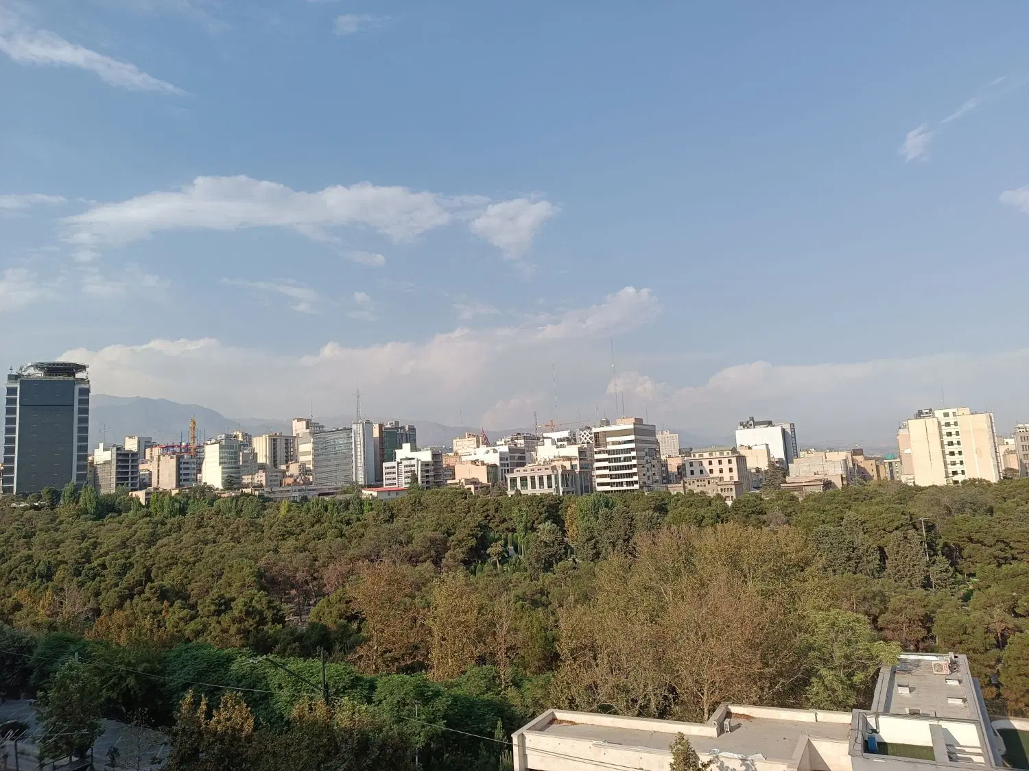 پارک ساعی ۷۰۰ متر مشارکت