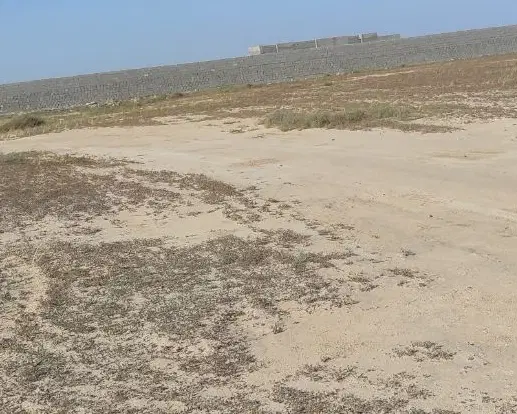 زمین مسکونی