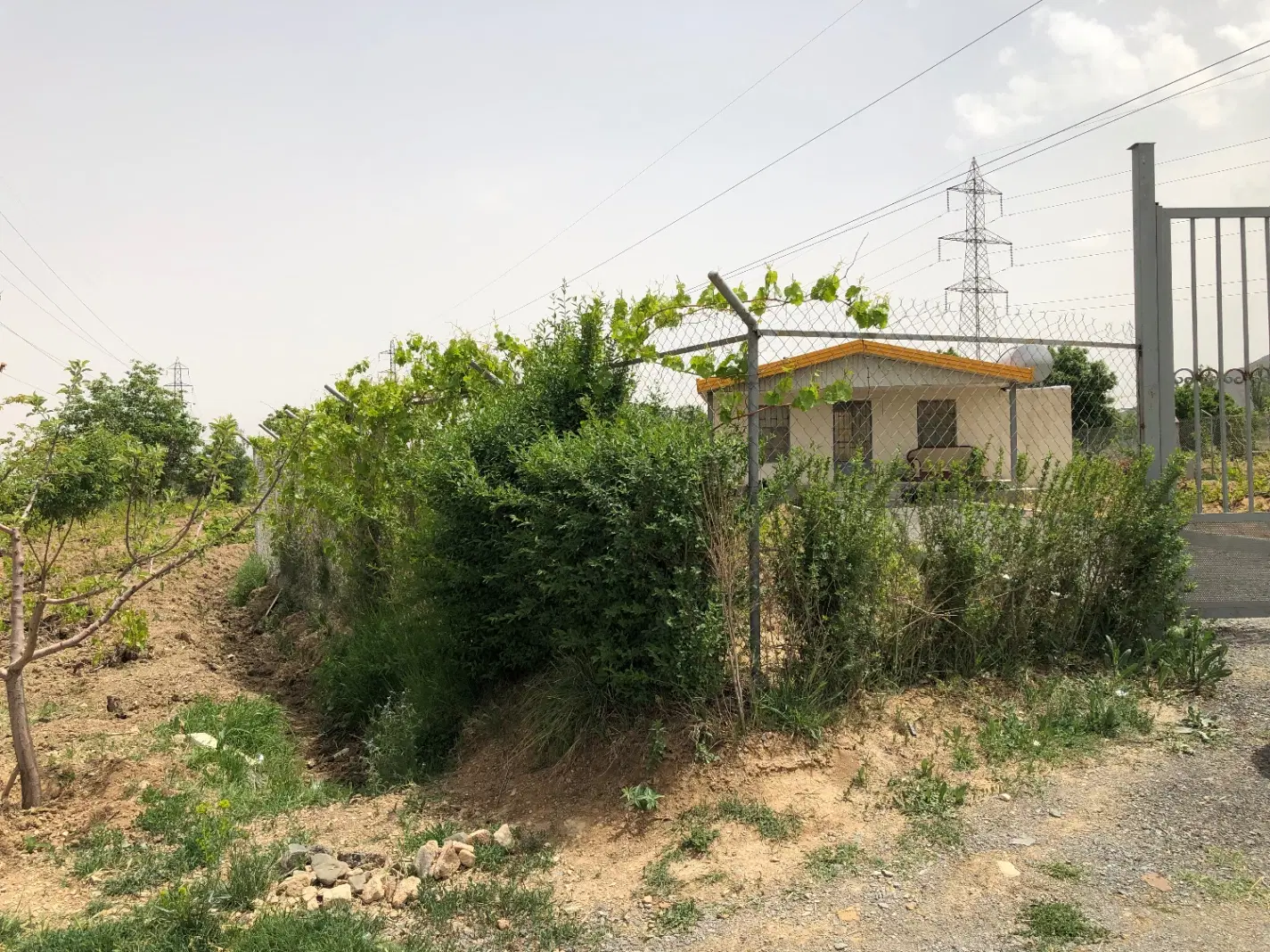 فروش ویلا باغ حسین اباد بغدادی