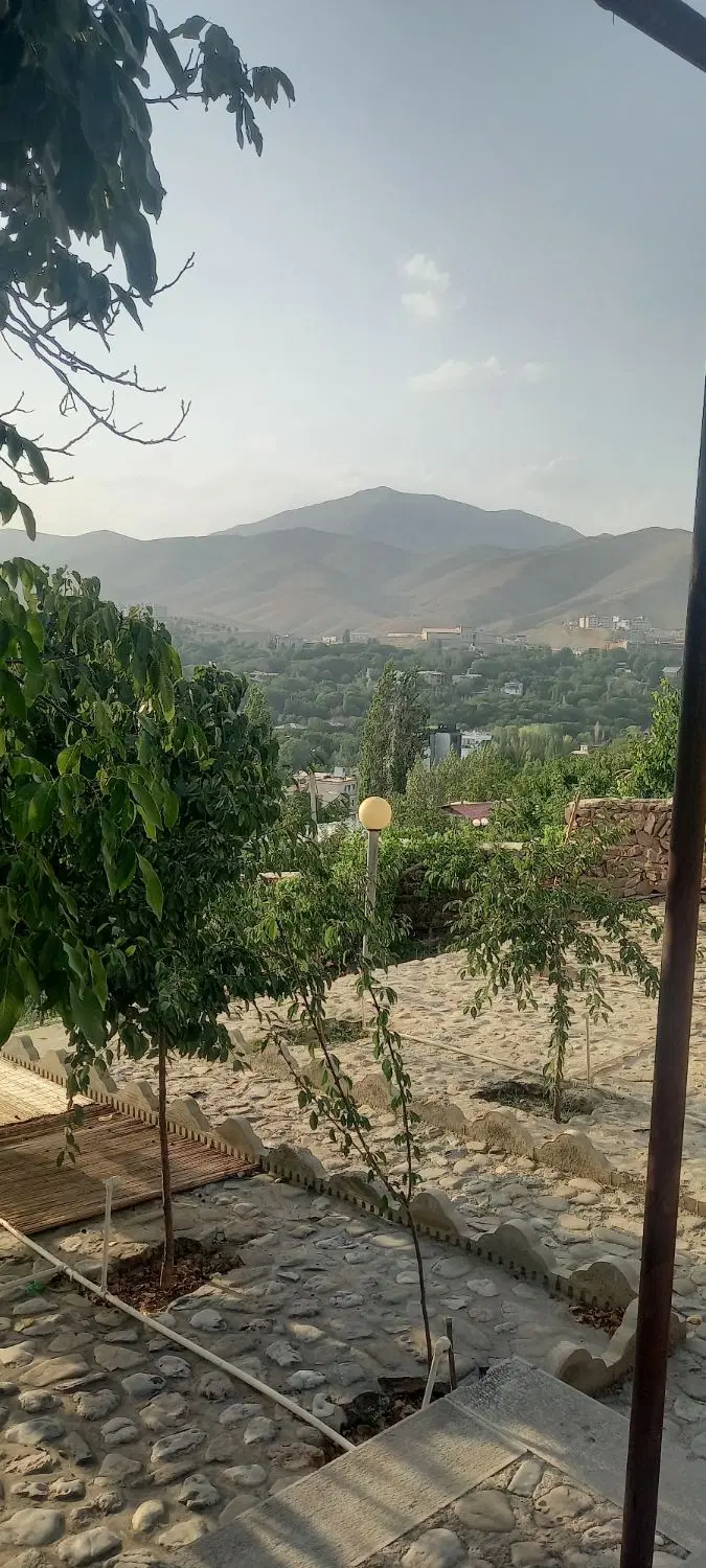 پیش فروش