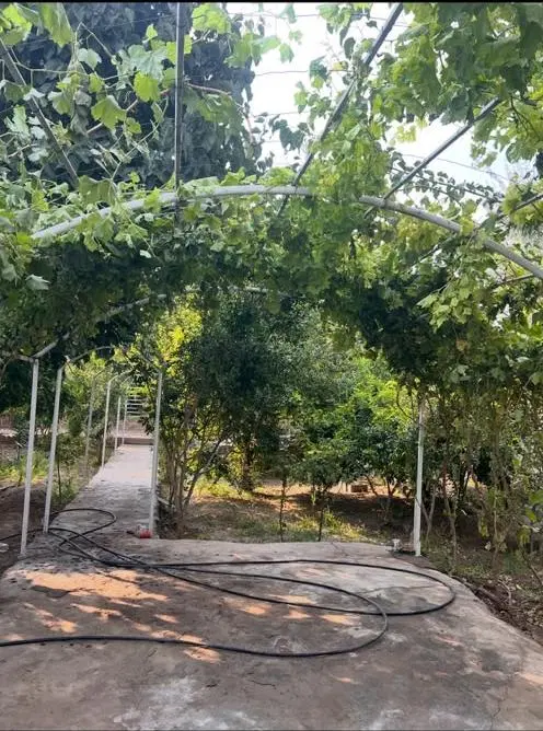 خونه باغ فروشی