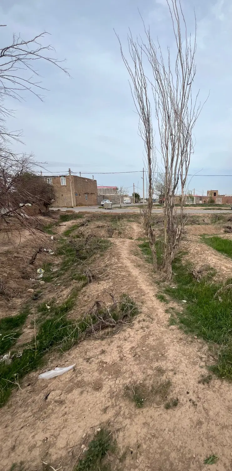 ۲۳۸متر زمین تجاری مسکونی شهر ارداق