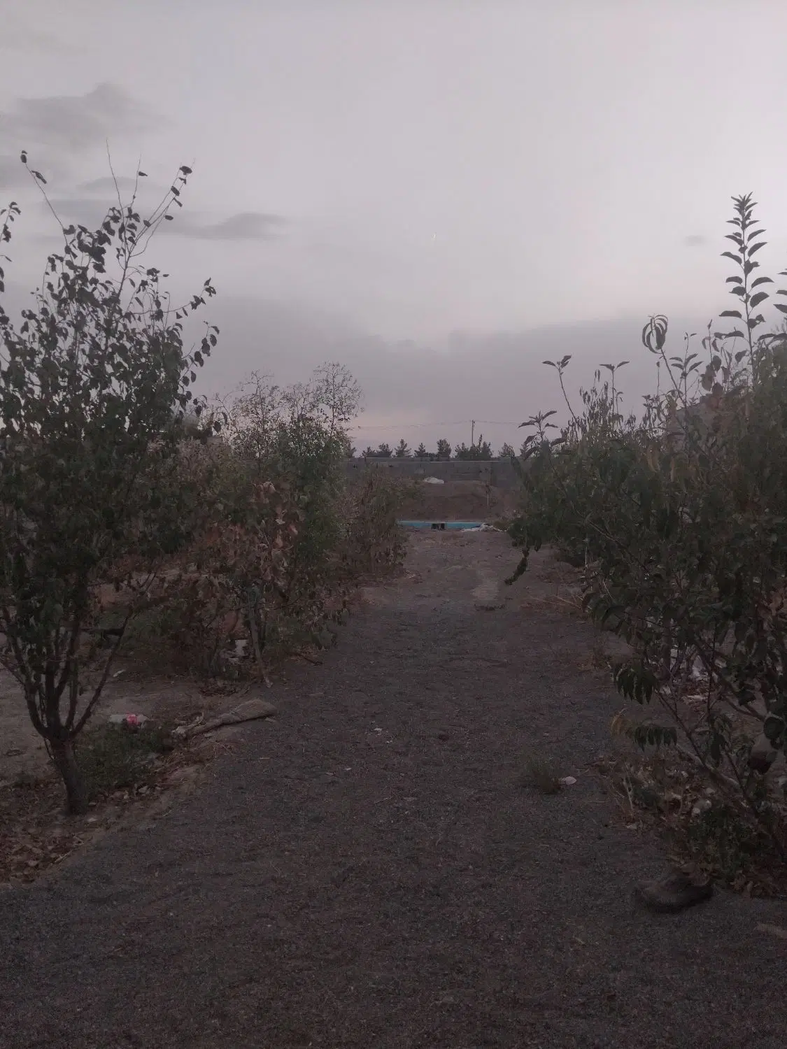 فروش زمین باغی