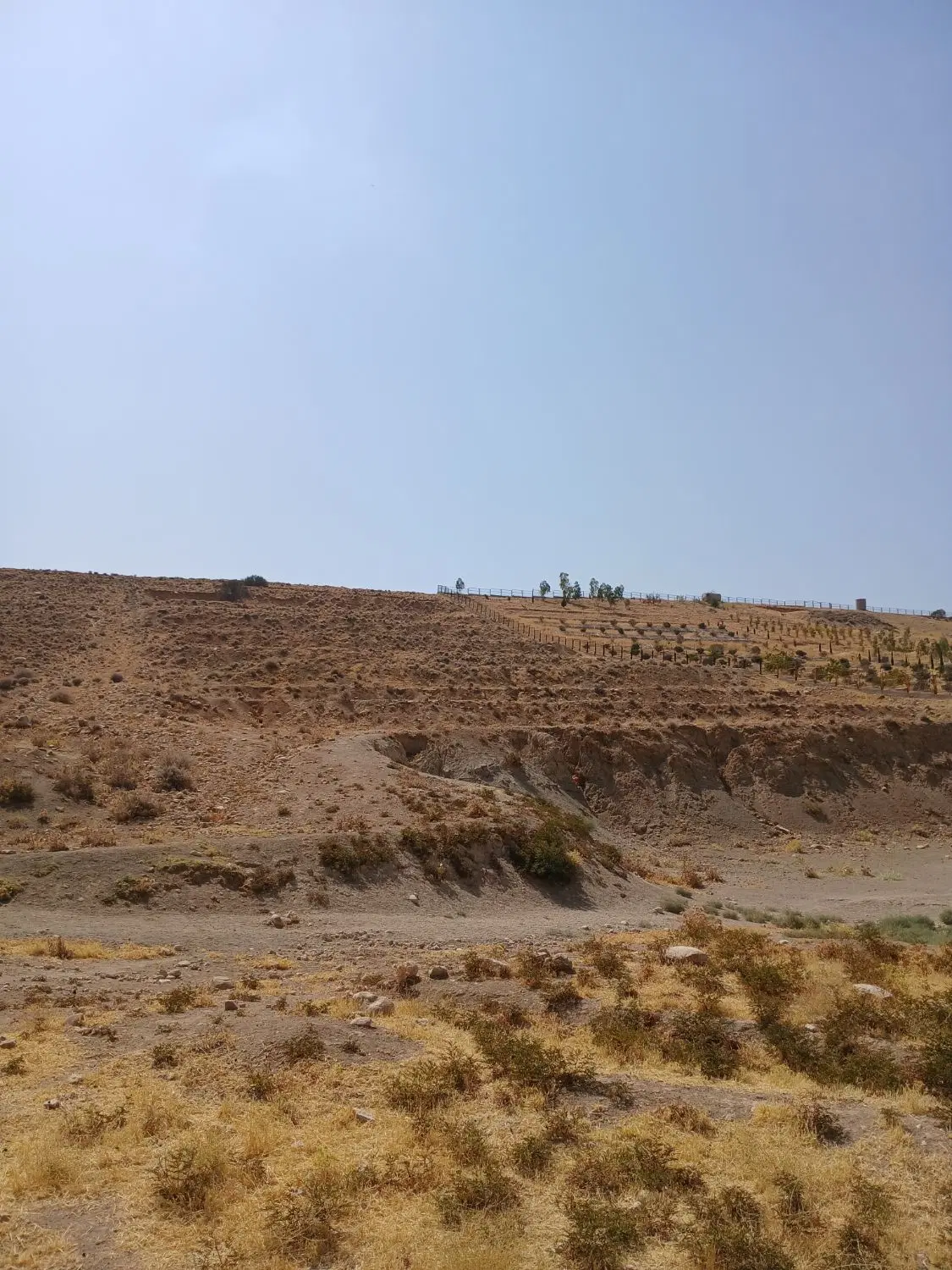 زمین باغشهری