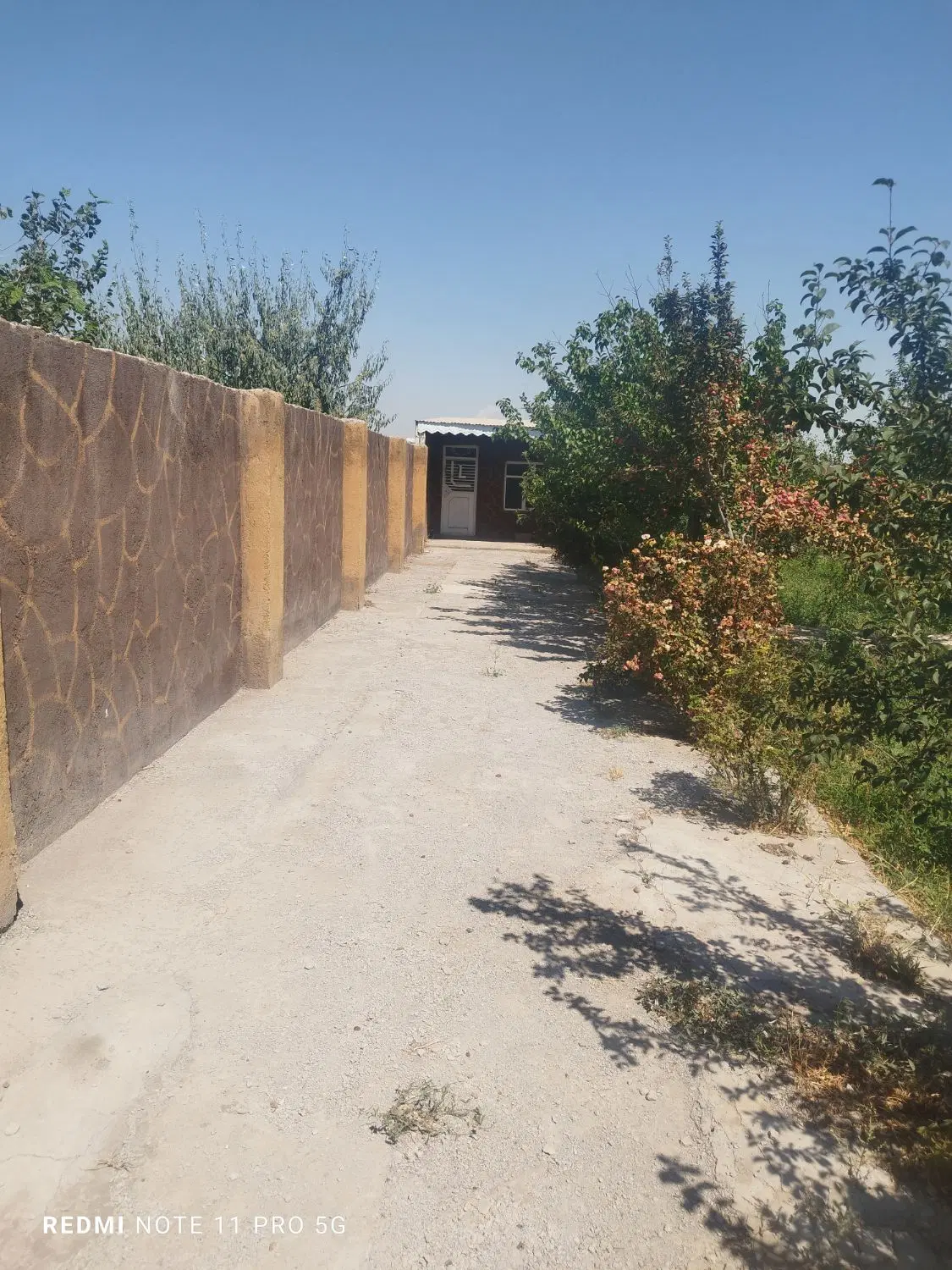 باغ در باغمعروف سردرود