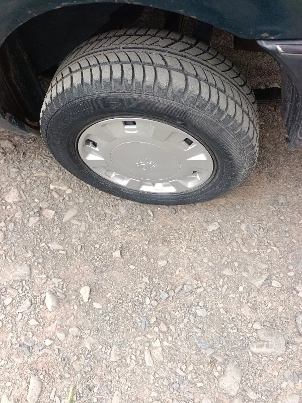مشارکت