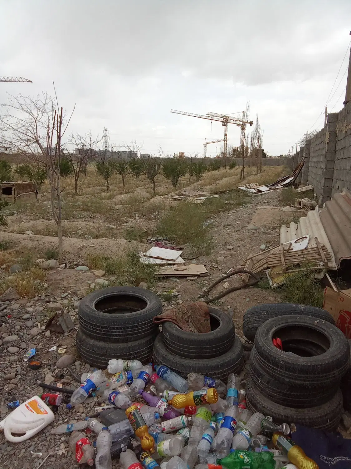 زمین 24 هزار متری خیابان زرشکی گرمدره