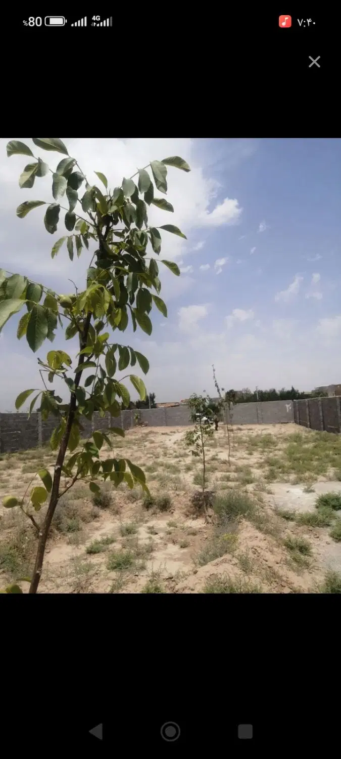 باغچه500متری