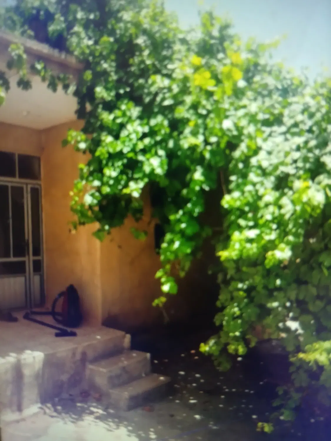 فروش منزل مسکونی پردنجان،یا معاوضه