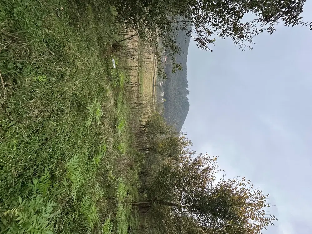 ۵۰۰متر زمین مسکونی واقع در روستای آهکلان