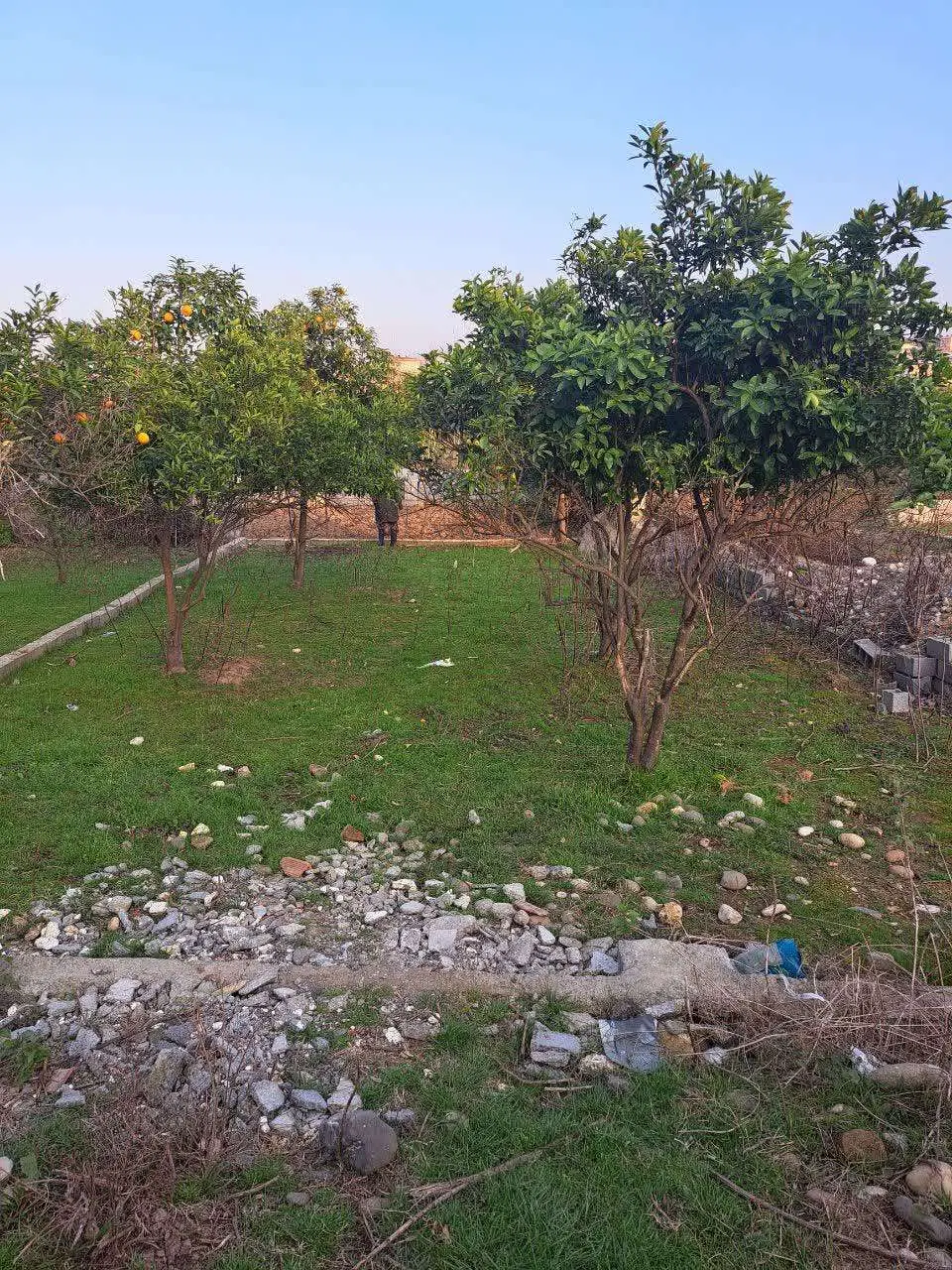 زمین مسکونی در مازندران -بابل