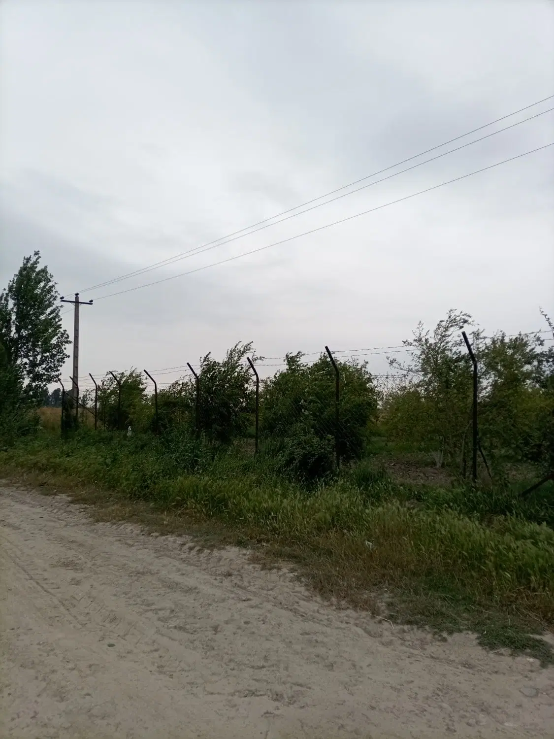 باغ سند دار