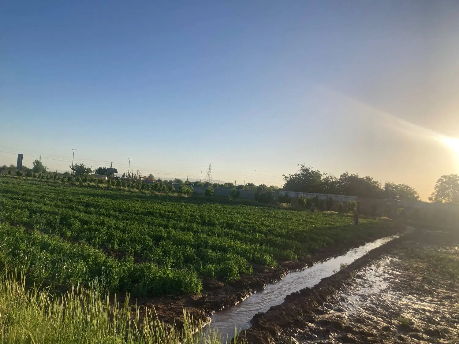فروش زمین