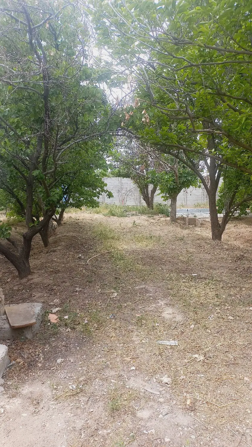 زمین باغ و باغچه سند دار