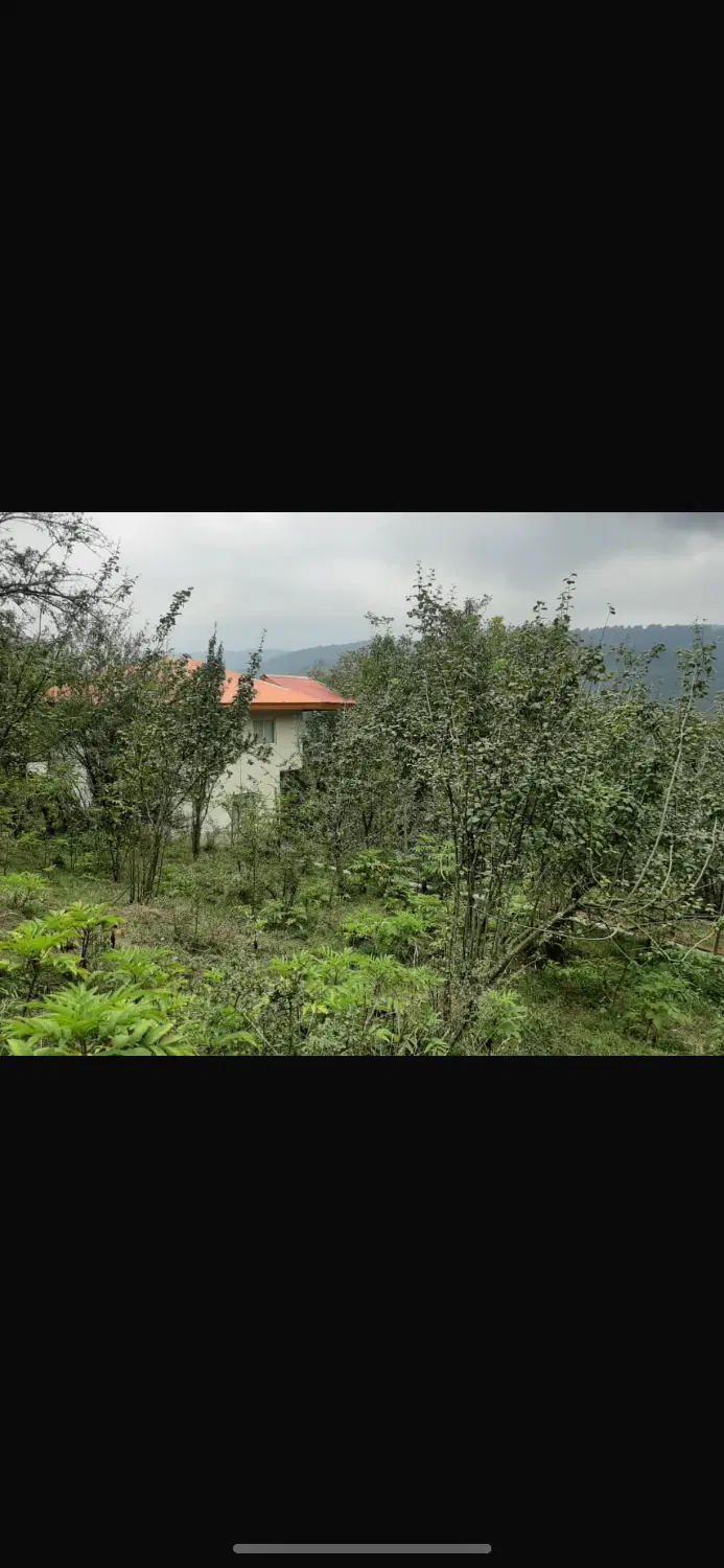 فروش زمین مسکونی در ساری دودانگه