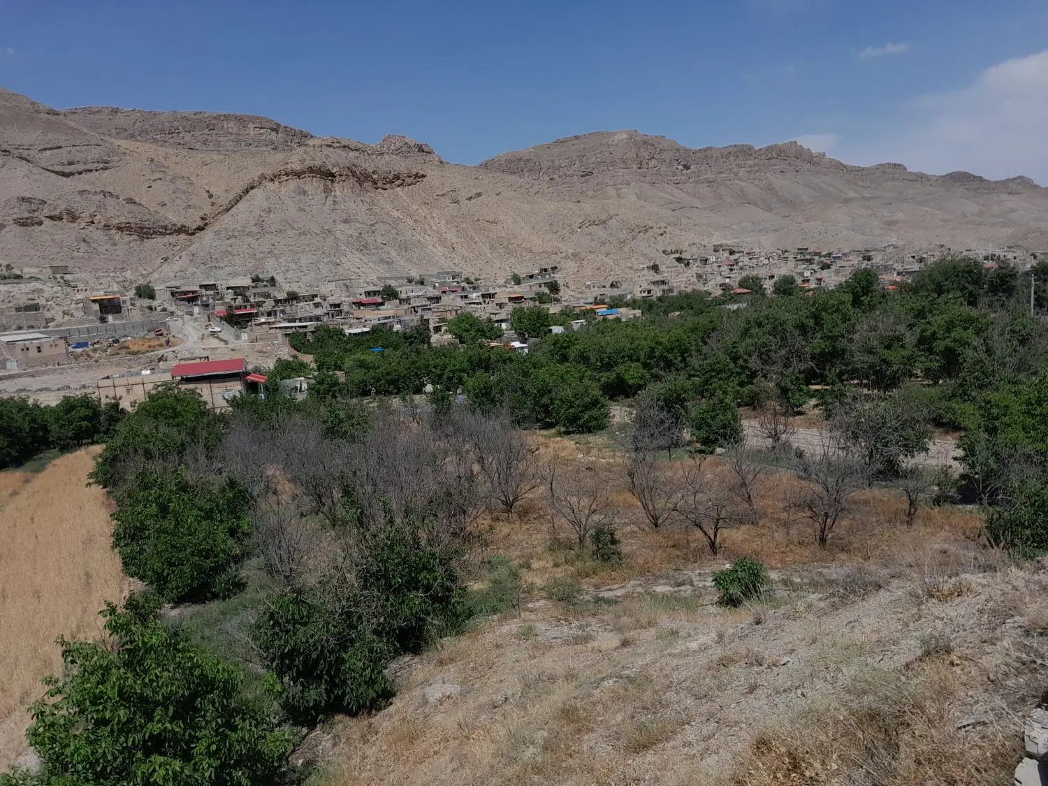 فروش باغ میوه جهت ساخت ویلا