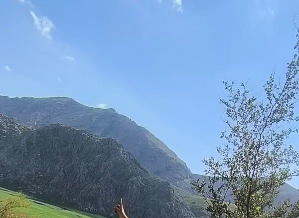 زمین خنگ پیرسبز