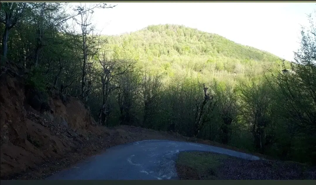 گیلان 5کیلومتری امام زاده هاشم رشت روستای دیزکوه