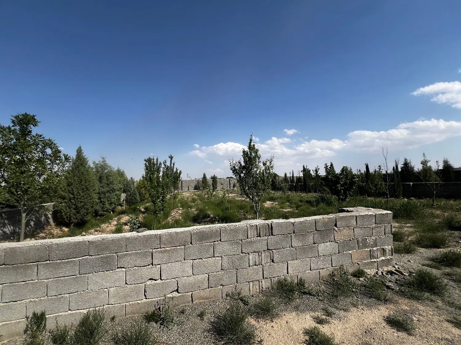 باغچه ۸۰۰ متری چهار دیواری شهرکی